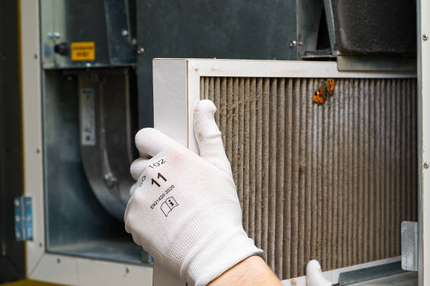 Best Home Air Vent Cleaning  in Crawfordville, FL